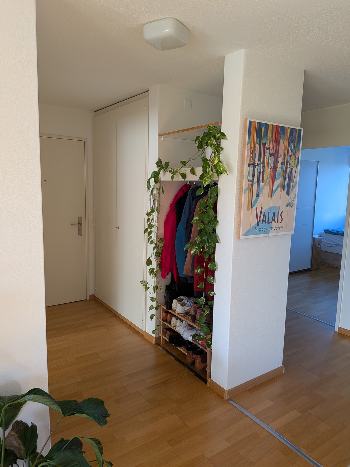 Appartamento di 2 ½ locali, foto 7 di 8