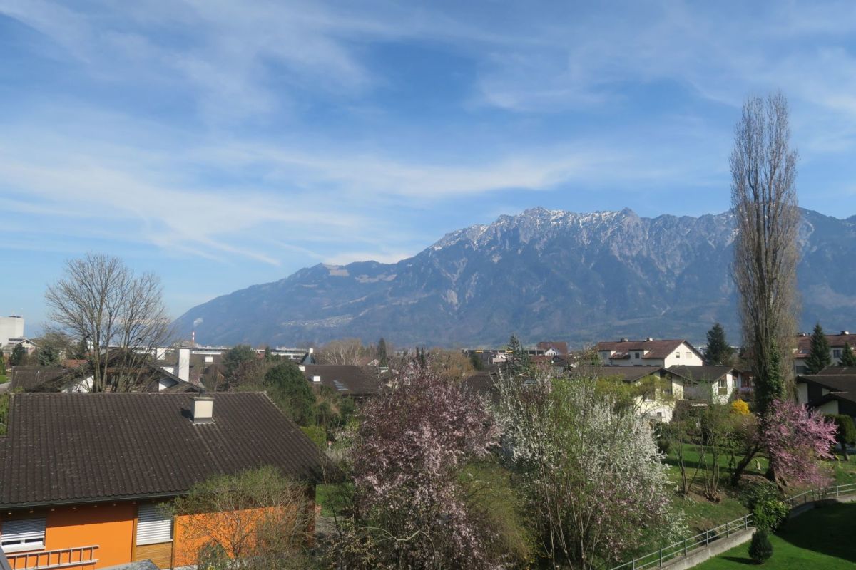 Monolocale di 2 locali, foto 4 di 5