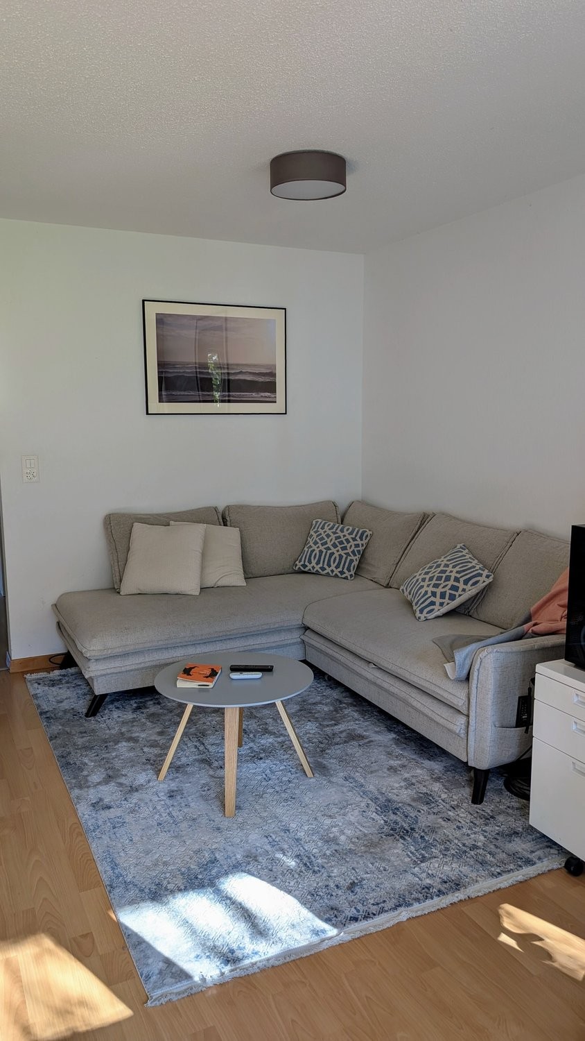 Appartamento arredato di 2 ½ locali, foto 1 di 10