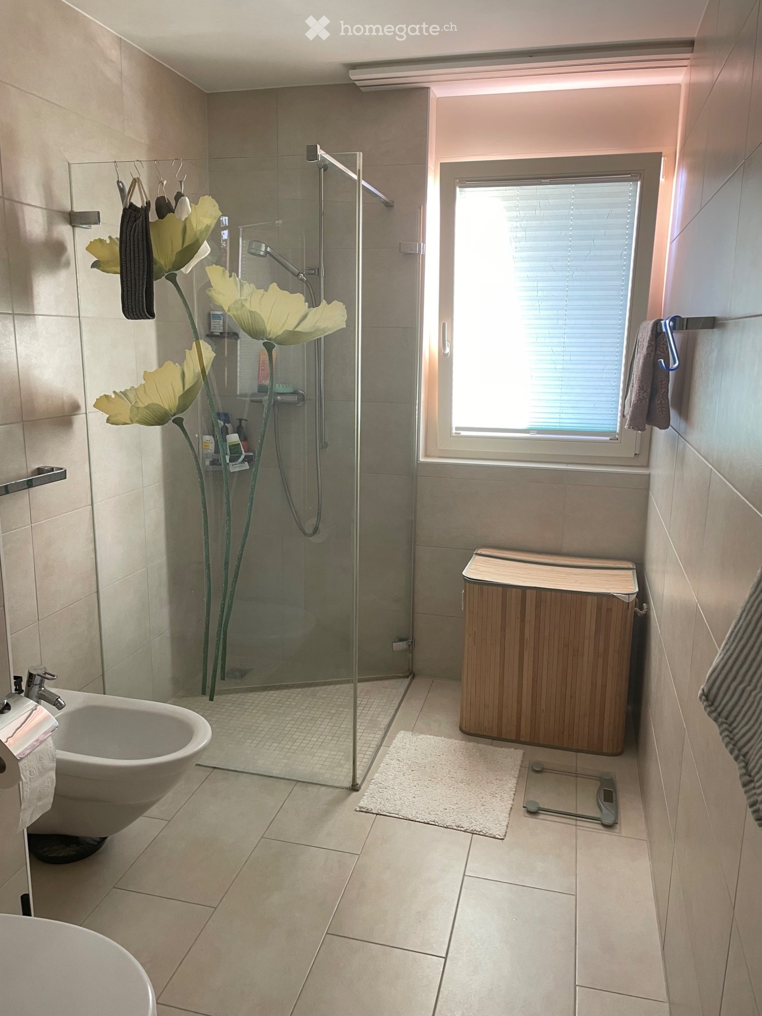 Appartamento di 2 ½ locali, foto 5 di 5