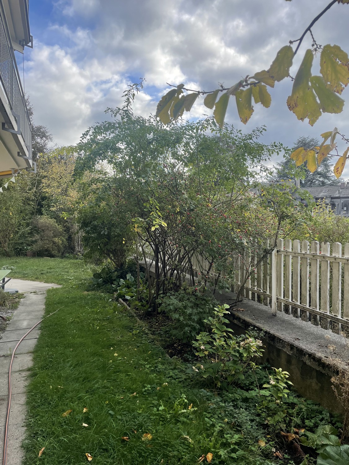 Appartamento di 2 ½ locali, foto 7 di 7