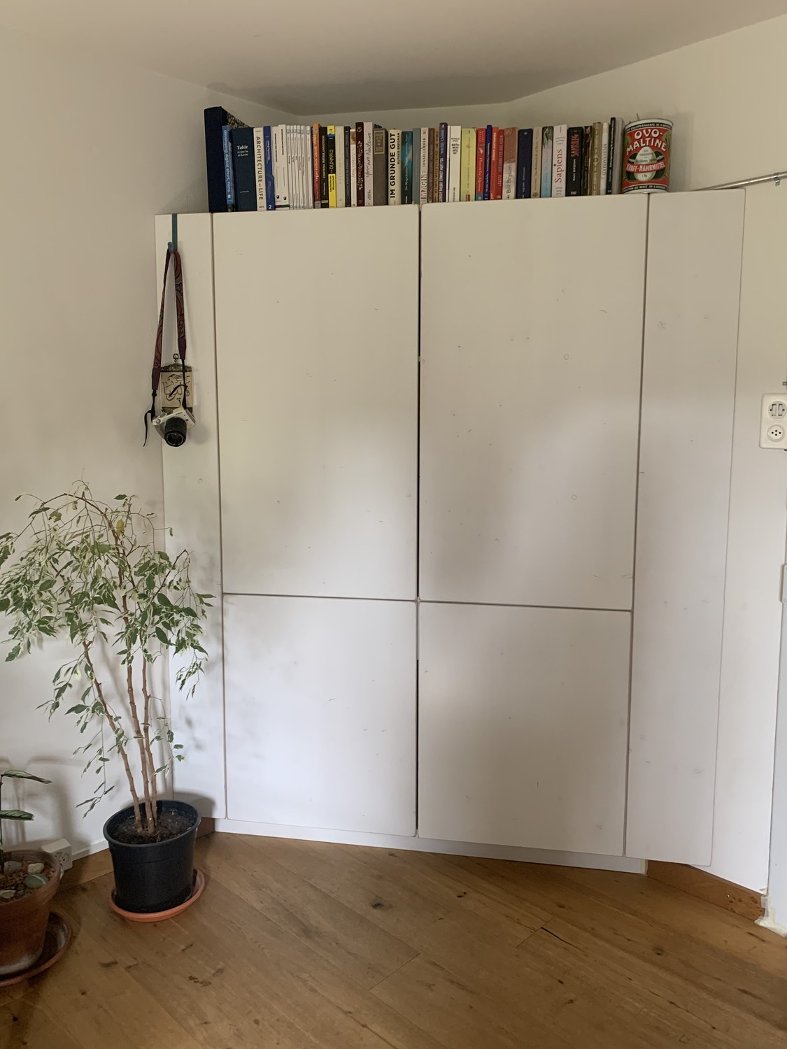 Appartamento di 2 ½ locali, foto 1 di 7