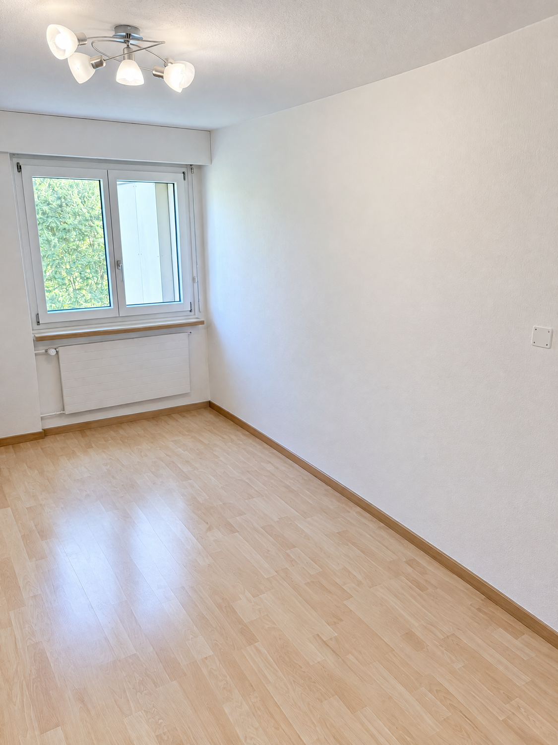 4 ½ rooms apartment