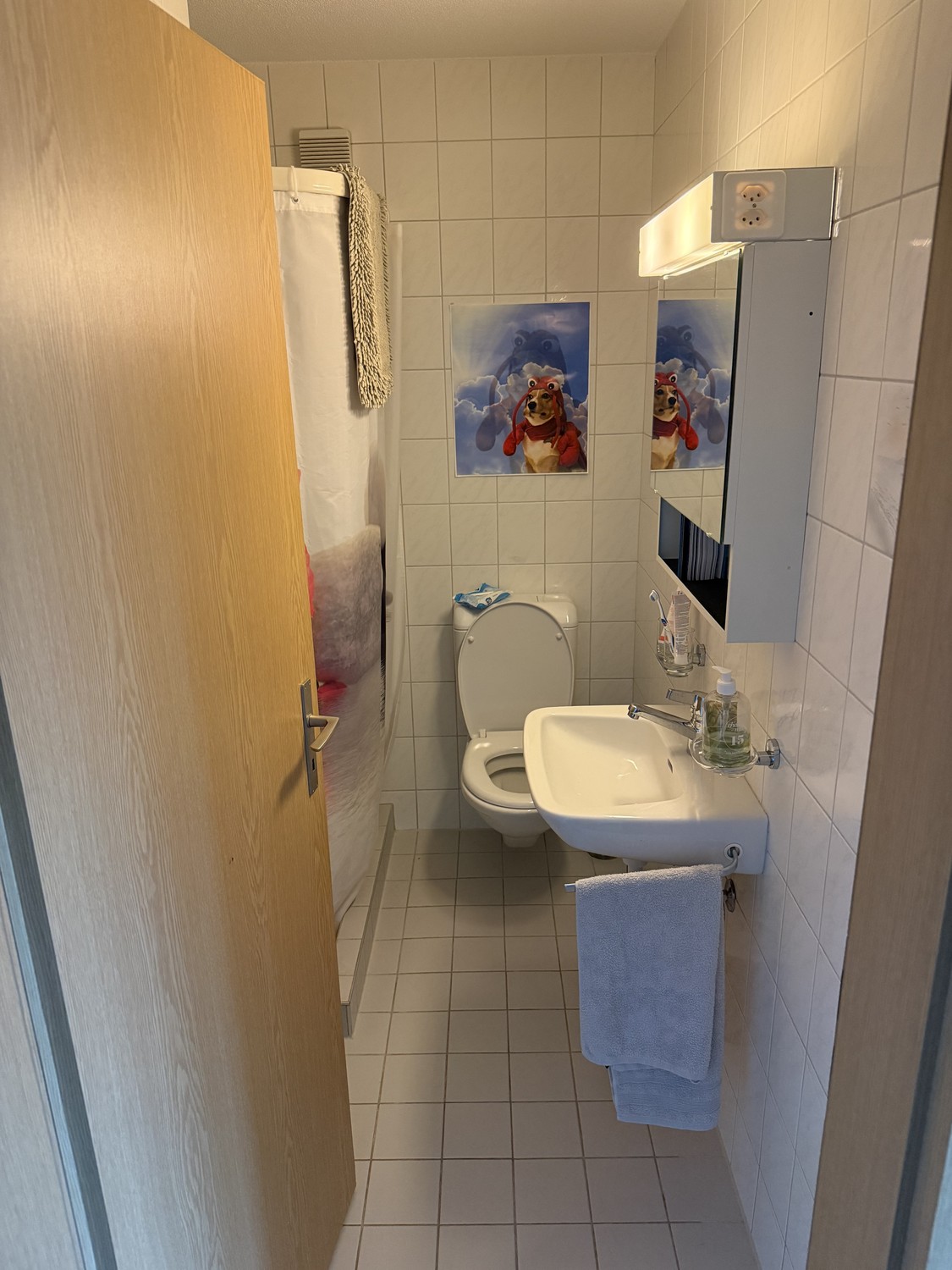 Stanza in un appartamento condiviso, foto 6 di 10
