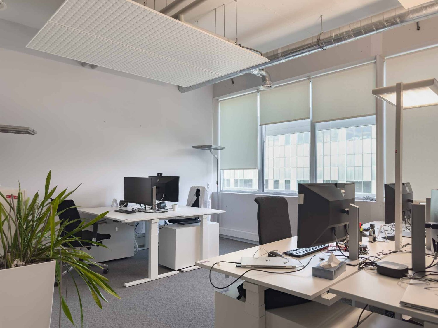 732m² ufficio