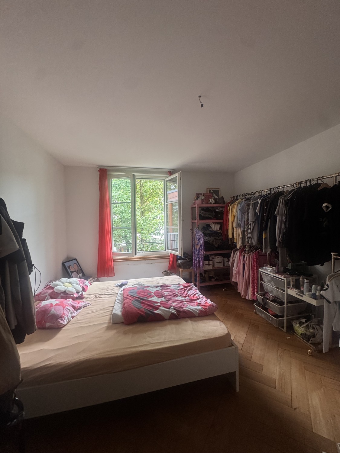 Room in a shared flat