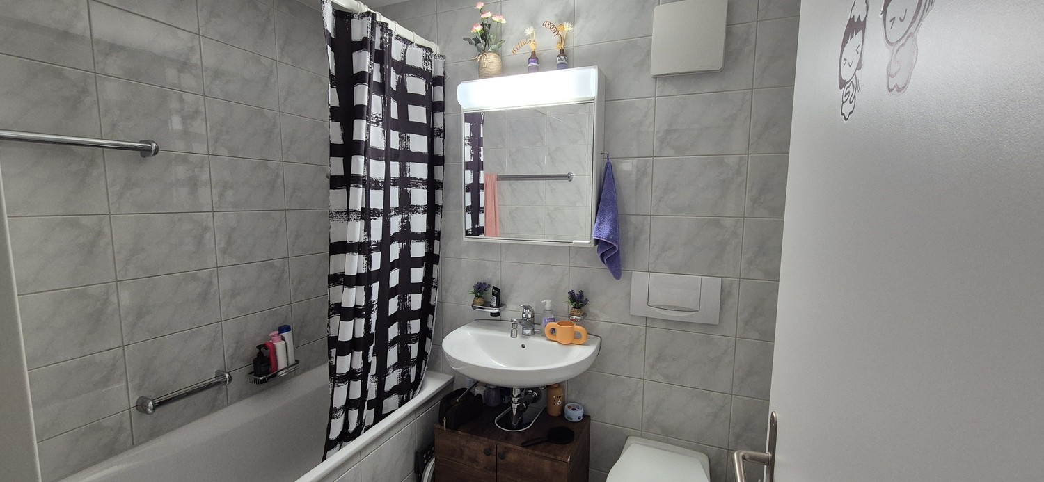 Appartamento di 2 ½ locali, foto 7 di 9