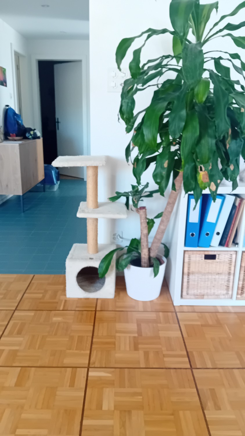 Stanza in un appartamento condiviso, foto 1 di 7