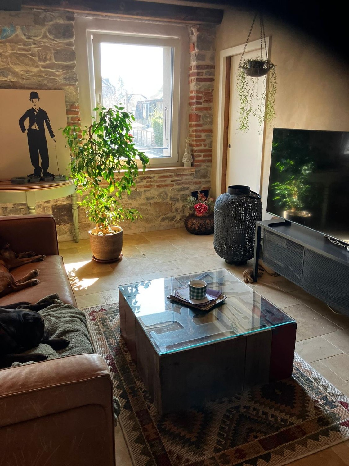 Appartamento di 3 ½ locali, foto 2 di 6