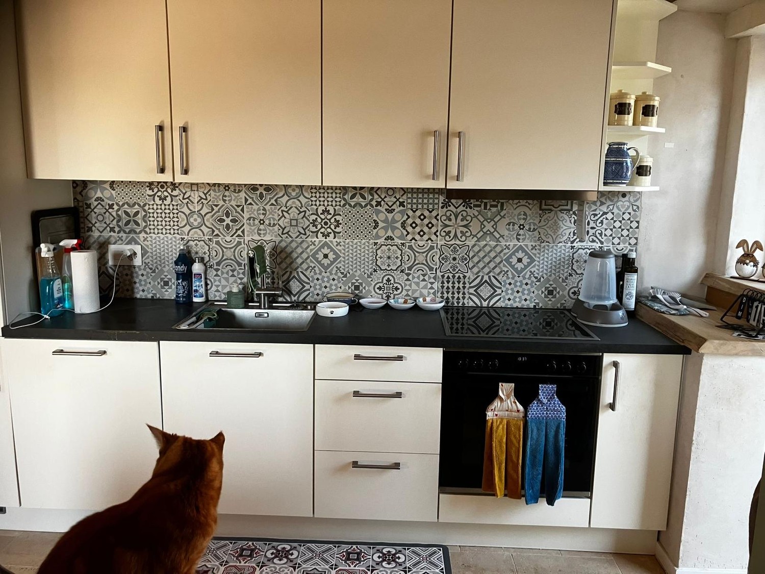 Appartamento di 3 ½ locali, foto 1 di 6