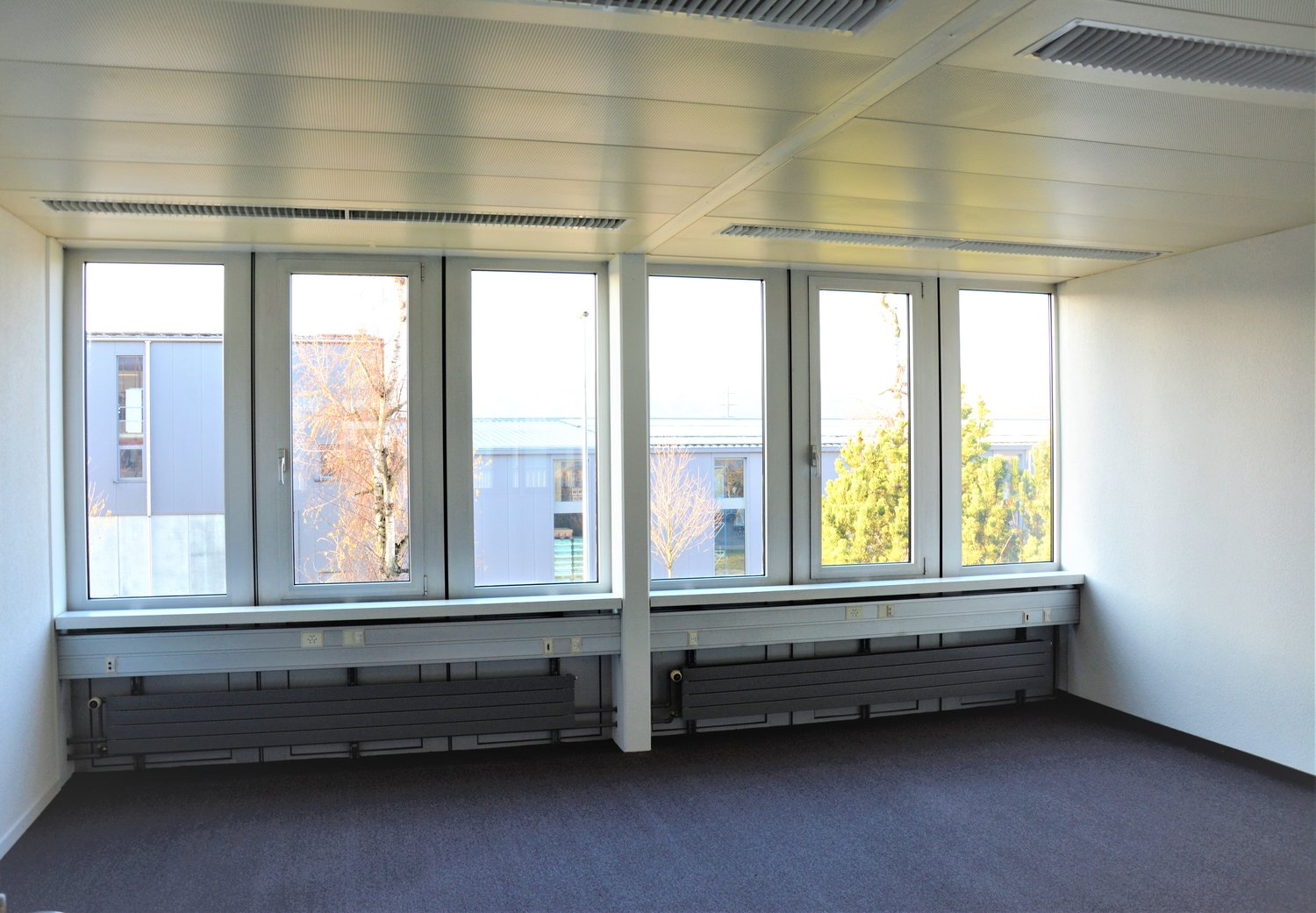 31m² office