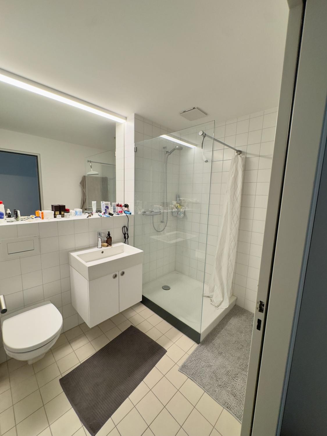 appartamento di 2 ½ locali, foto 8 di 8