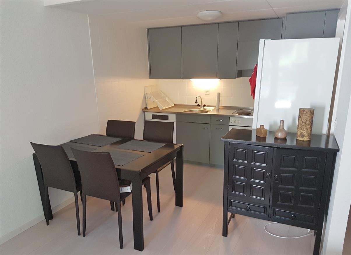 Appartamento di 2 ½ locali