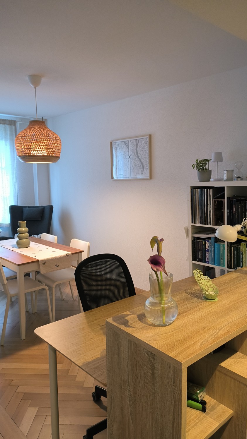 Appartamento di 2 ½ locali