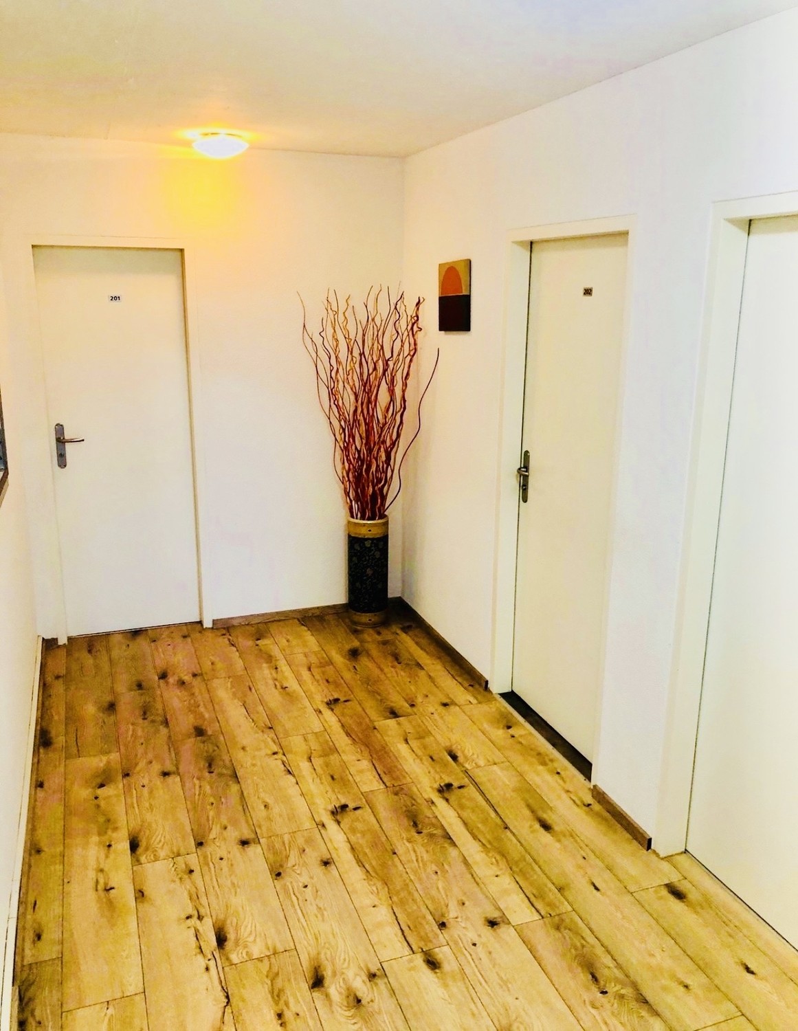 Chambre en colocation