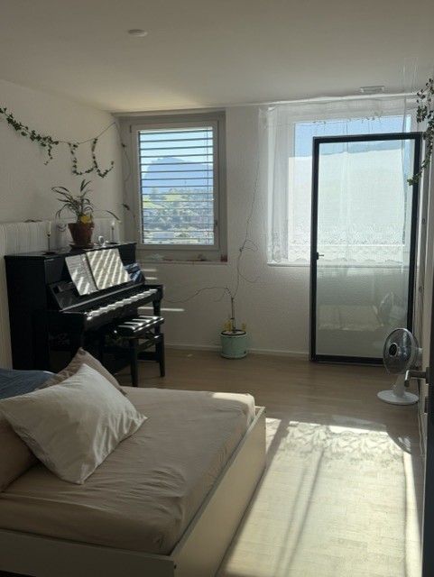 Appartamento di 1 ½ locali, foto 3 di 10