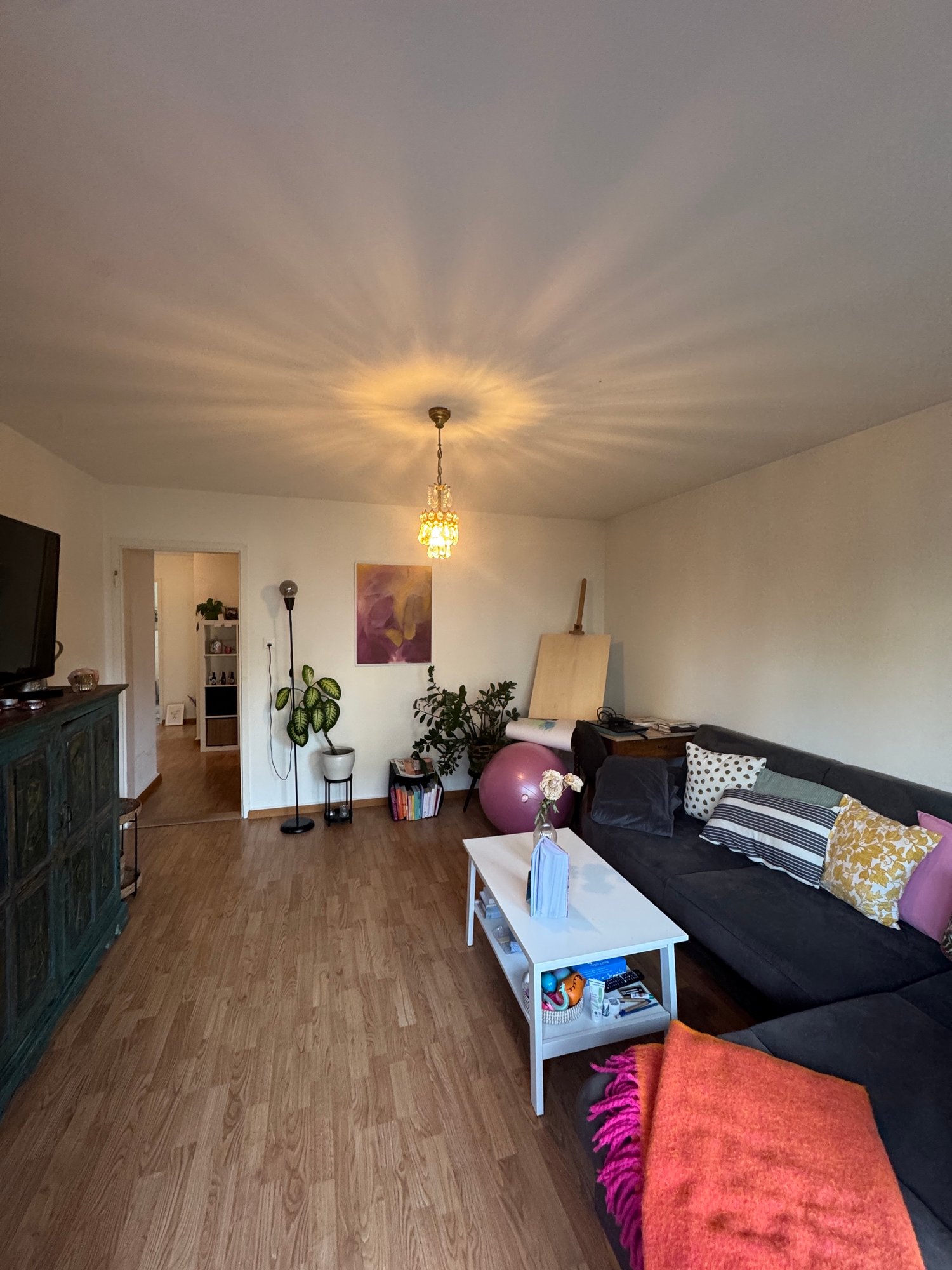 Appartamento di 2 ½ locali