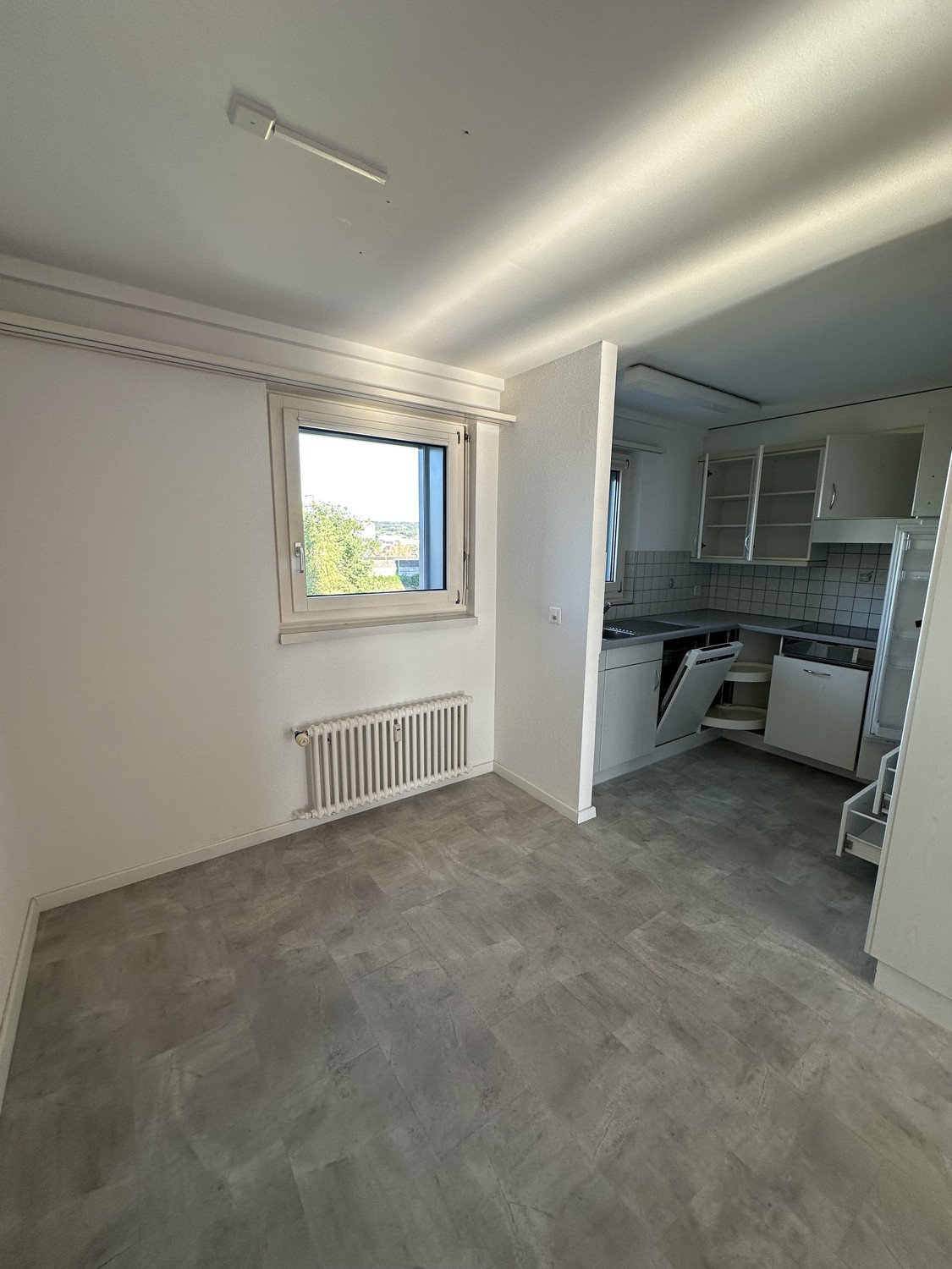 4 ½ rooms apartment