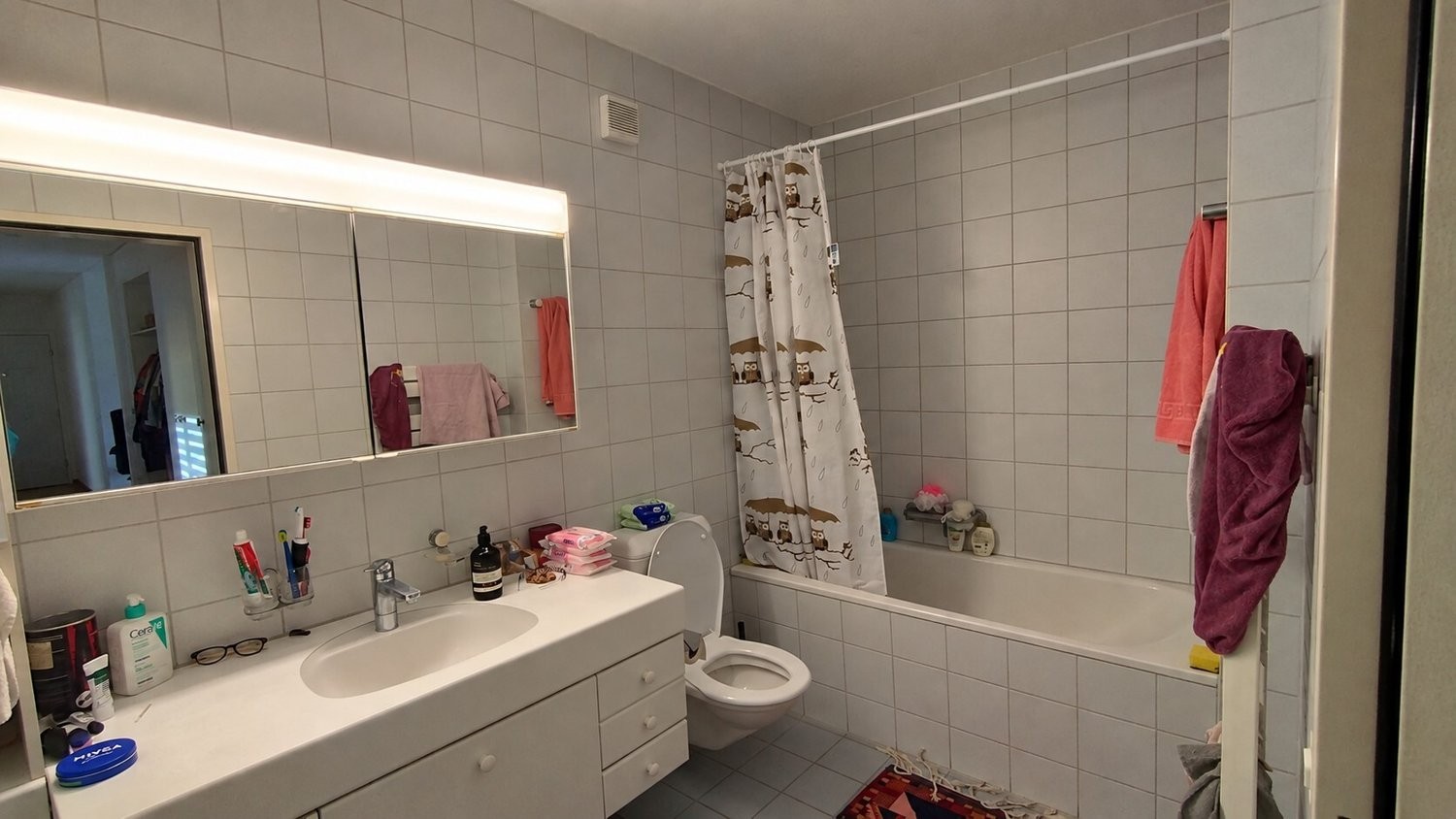 Appartamento arredato di 3 ½ locali, foto 4 di 7