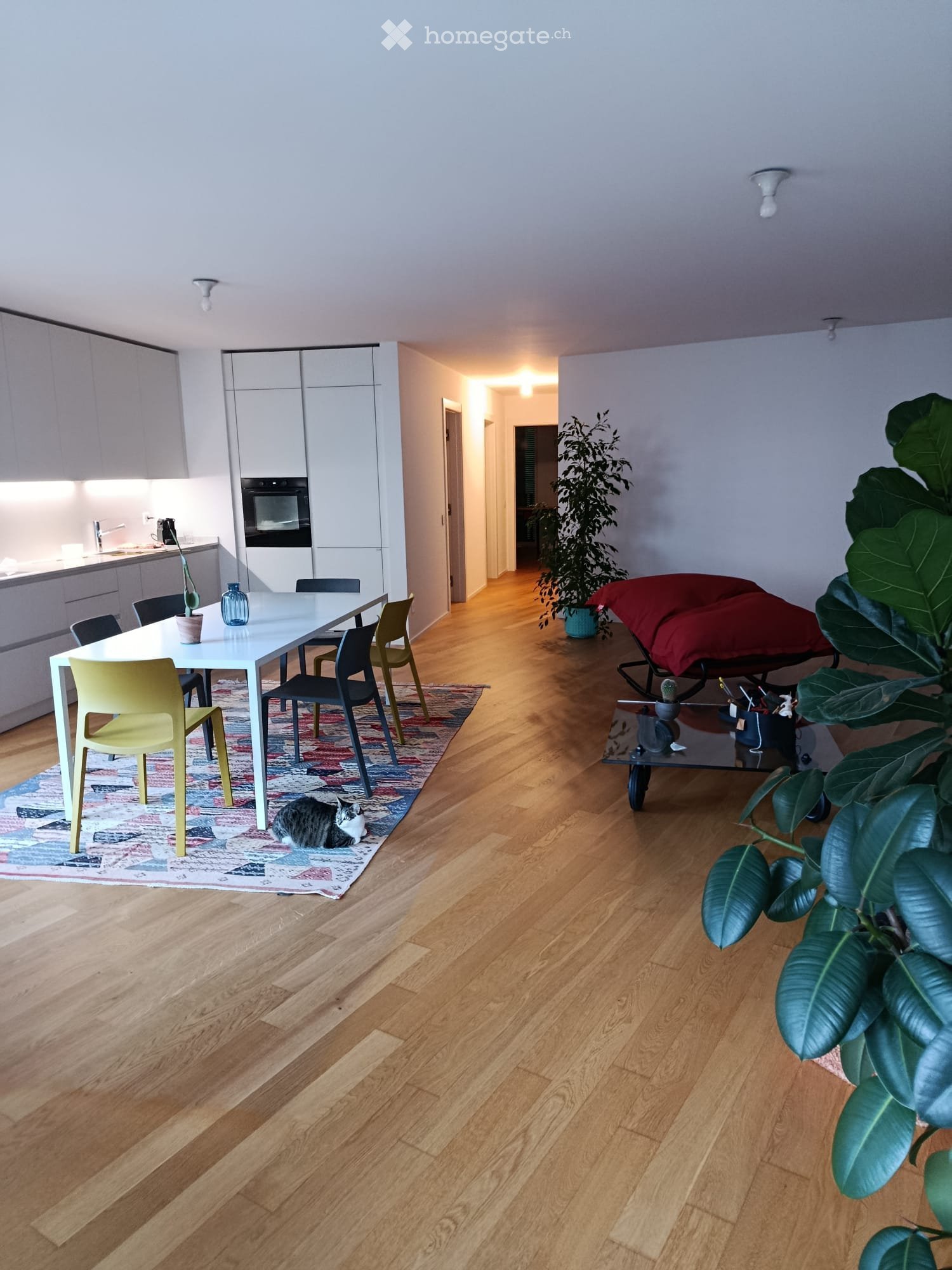 3 ½ rooms apartment, foto 1 di 5