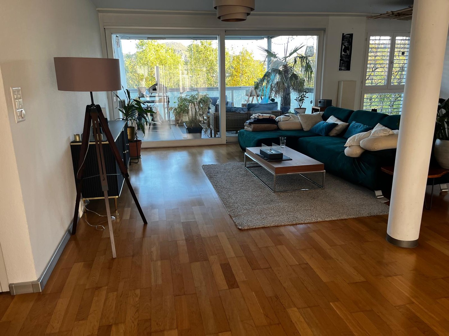 Appartamento di 3 ½ locali, foto 1 di 10