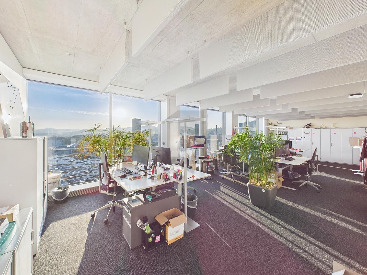 334m² ufficio