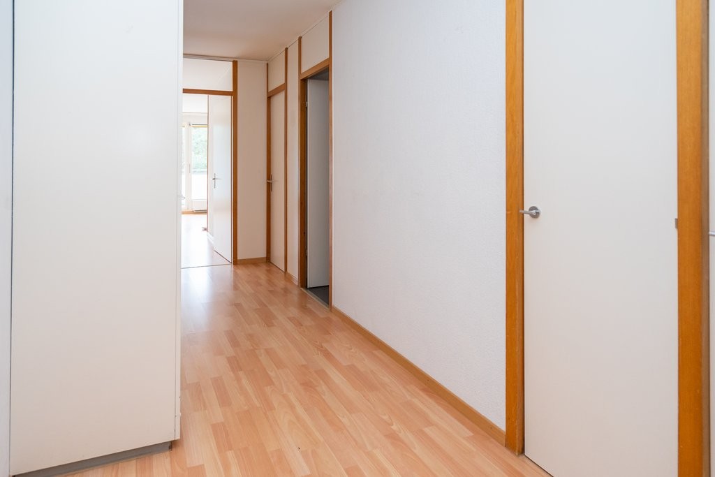 Appartamento di 3 ½ locali, foto 6 di 7