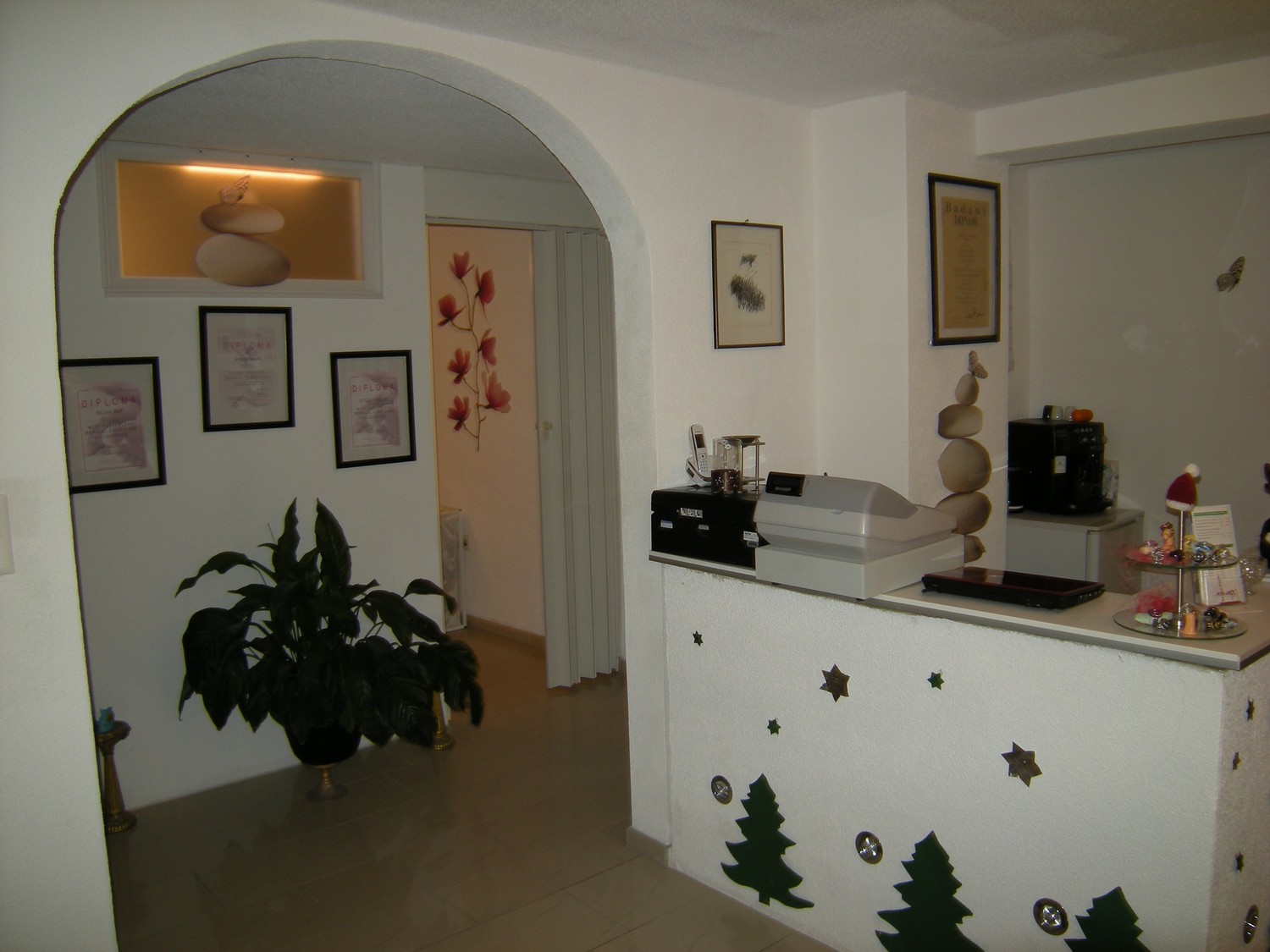 53m² commerciale