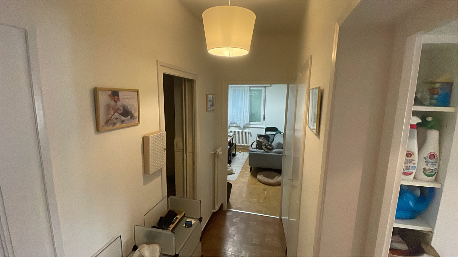 Appartamento di 3 ½ locali, foto 1 di 7
