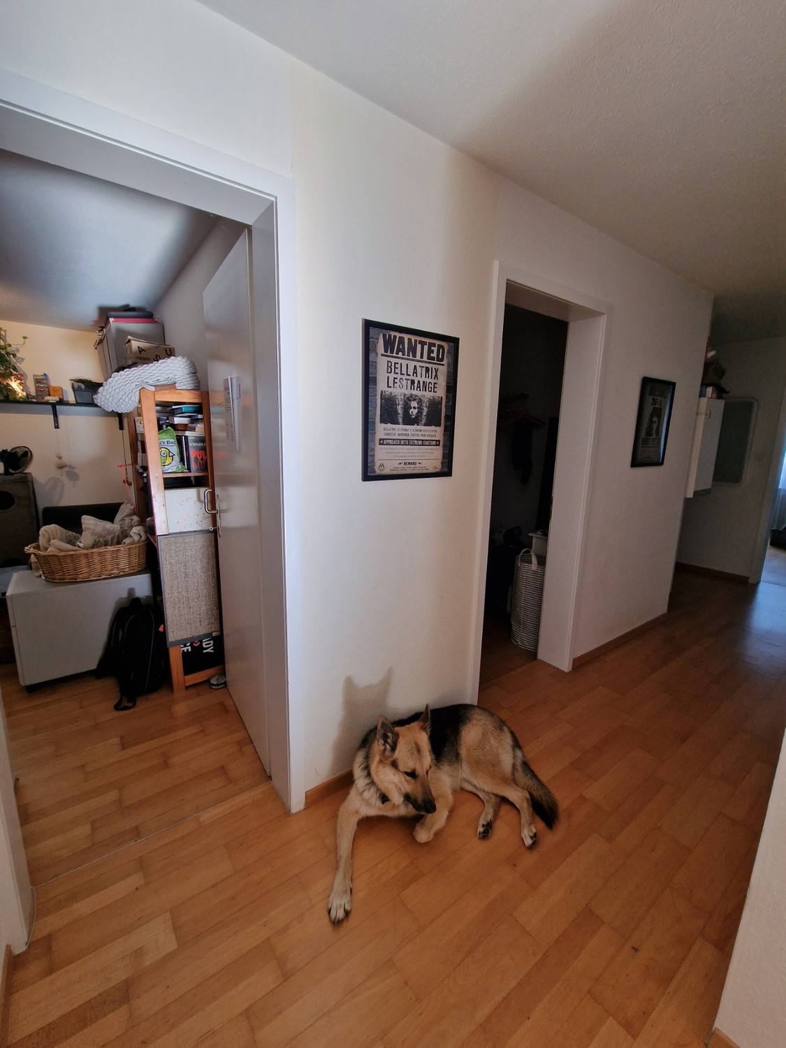 Appartamento di 3 ½ locali, foto 6 di 8