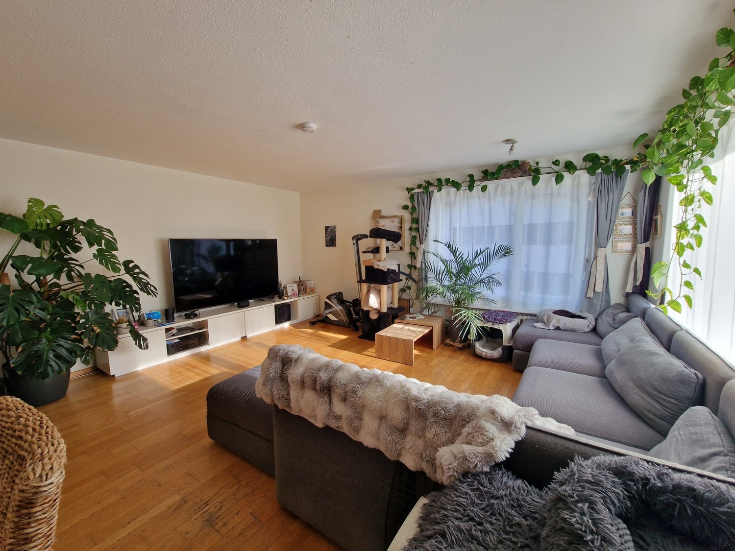Appartamento di 3 ½ locali, foto 1 di 8