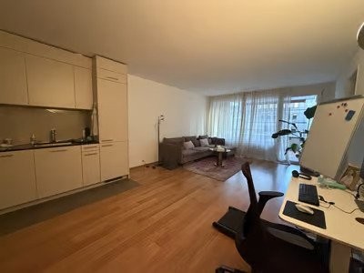 appartamento arredato di 2 ½ locali
