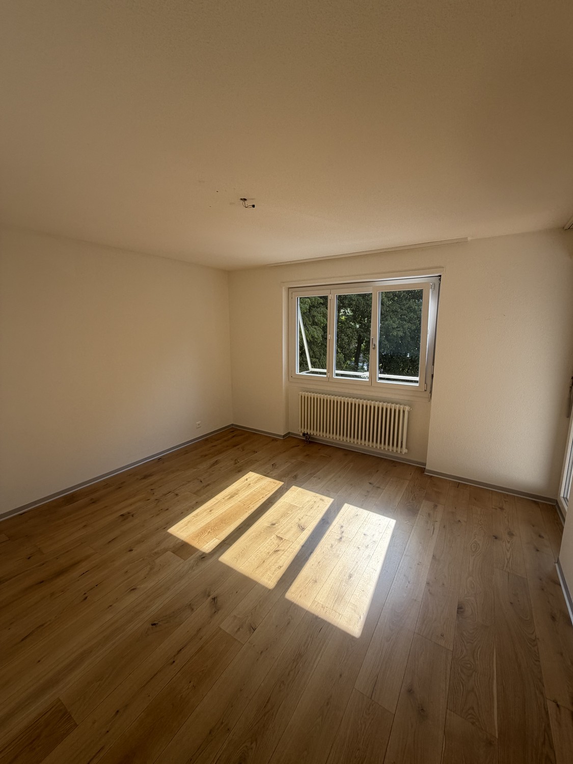 Appartamento di 4 ½ locali, foto 9 di 10
