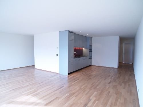 4 ½ rooms duplex, foto 3 di 6