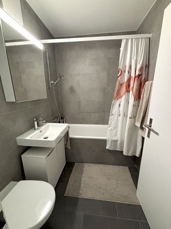 Appartamento arredato di 4 ½ locali, foto 7 di 8