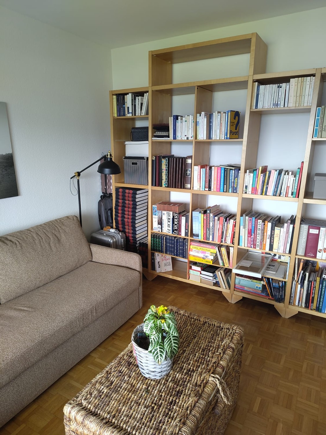 Stanza in un appartamento condiviso