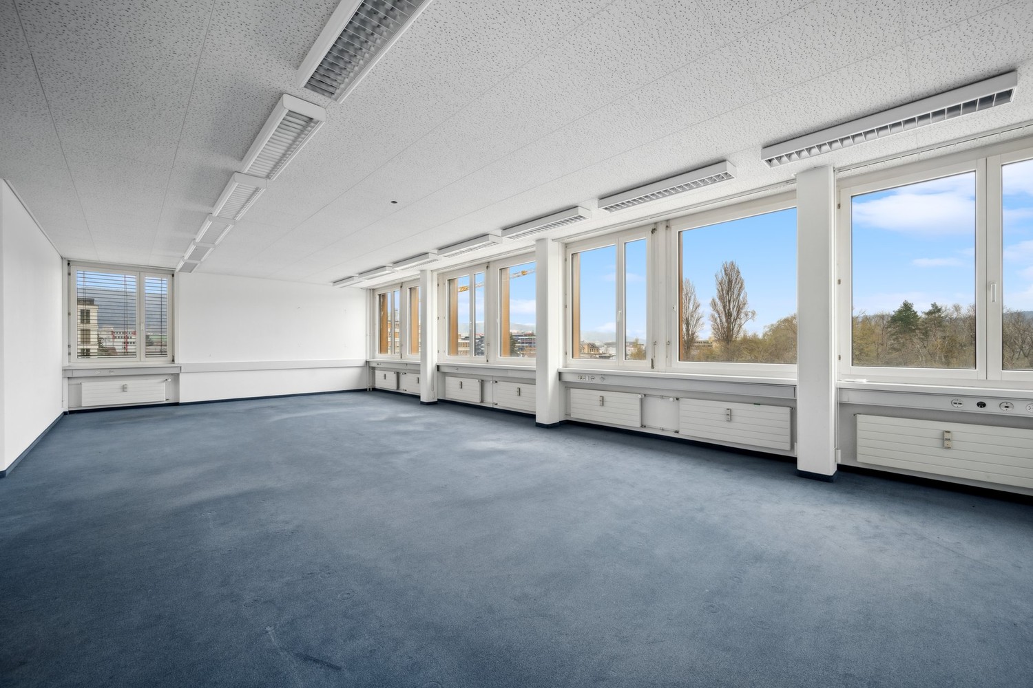 229m² ufficio