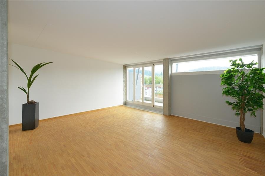 4 ½ rooms duplex