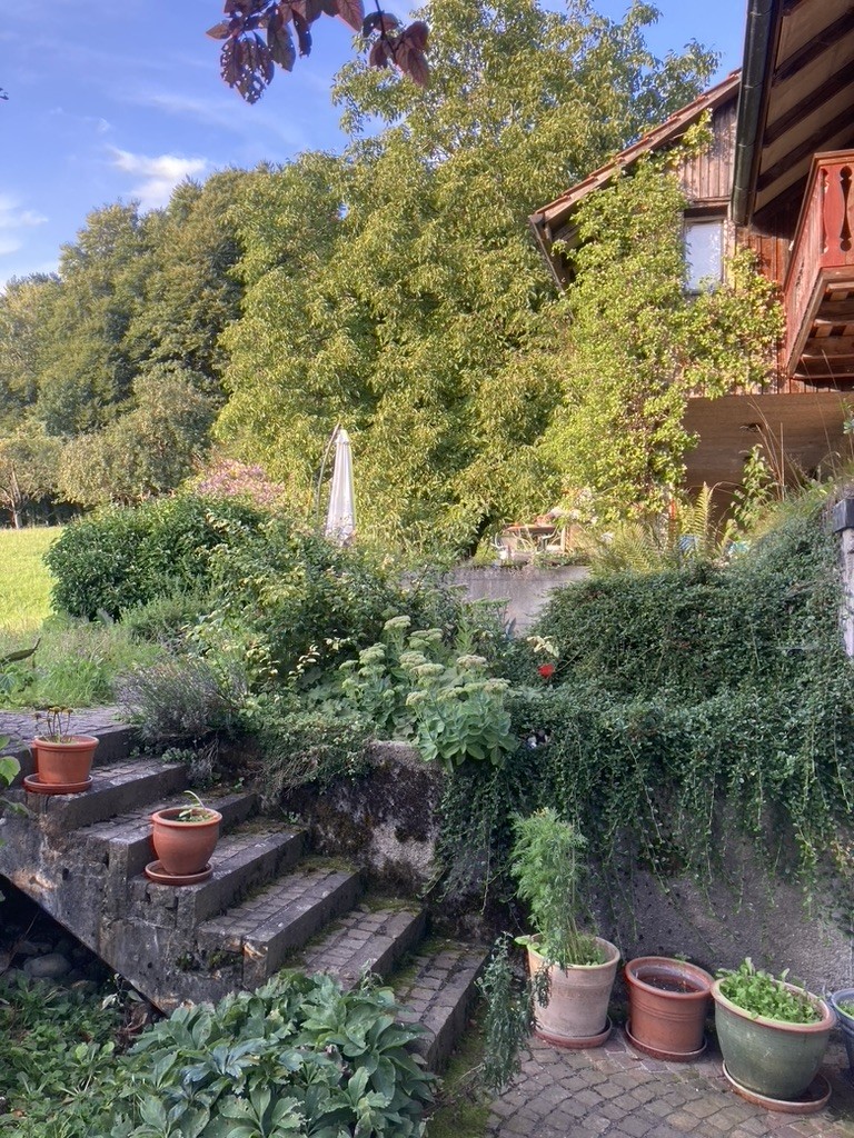 Appartamento di 4 ½ locali, foto 4 di 7