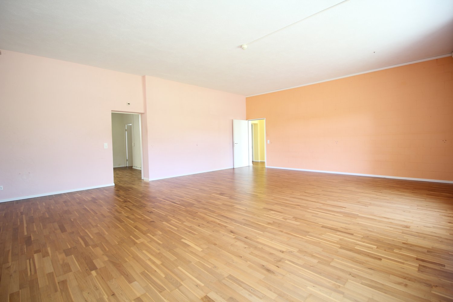 170m² commerciale