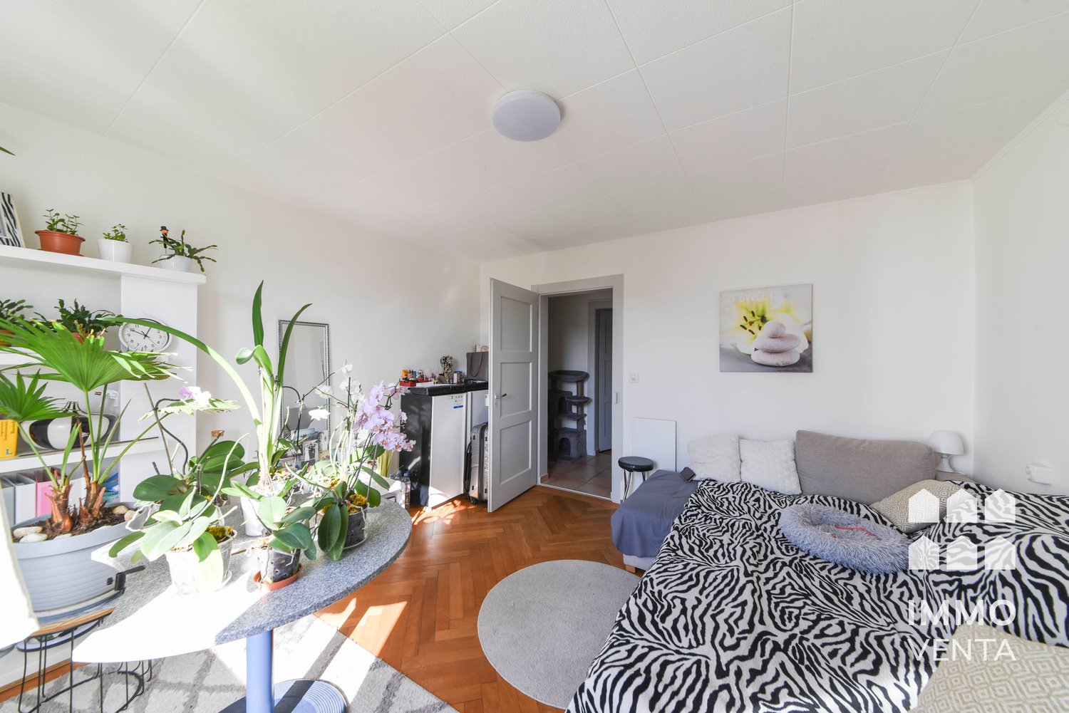 Appartamento di 3 ½ locali