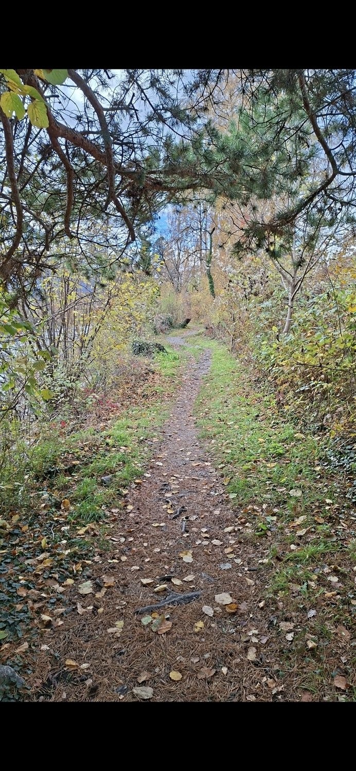 appartamento arredato di 3 ½ locali, foto 7 di 7