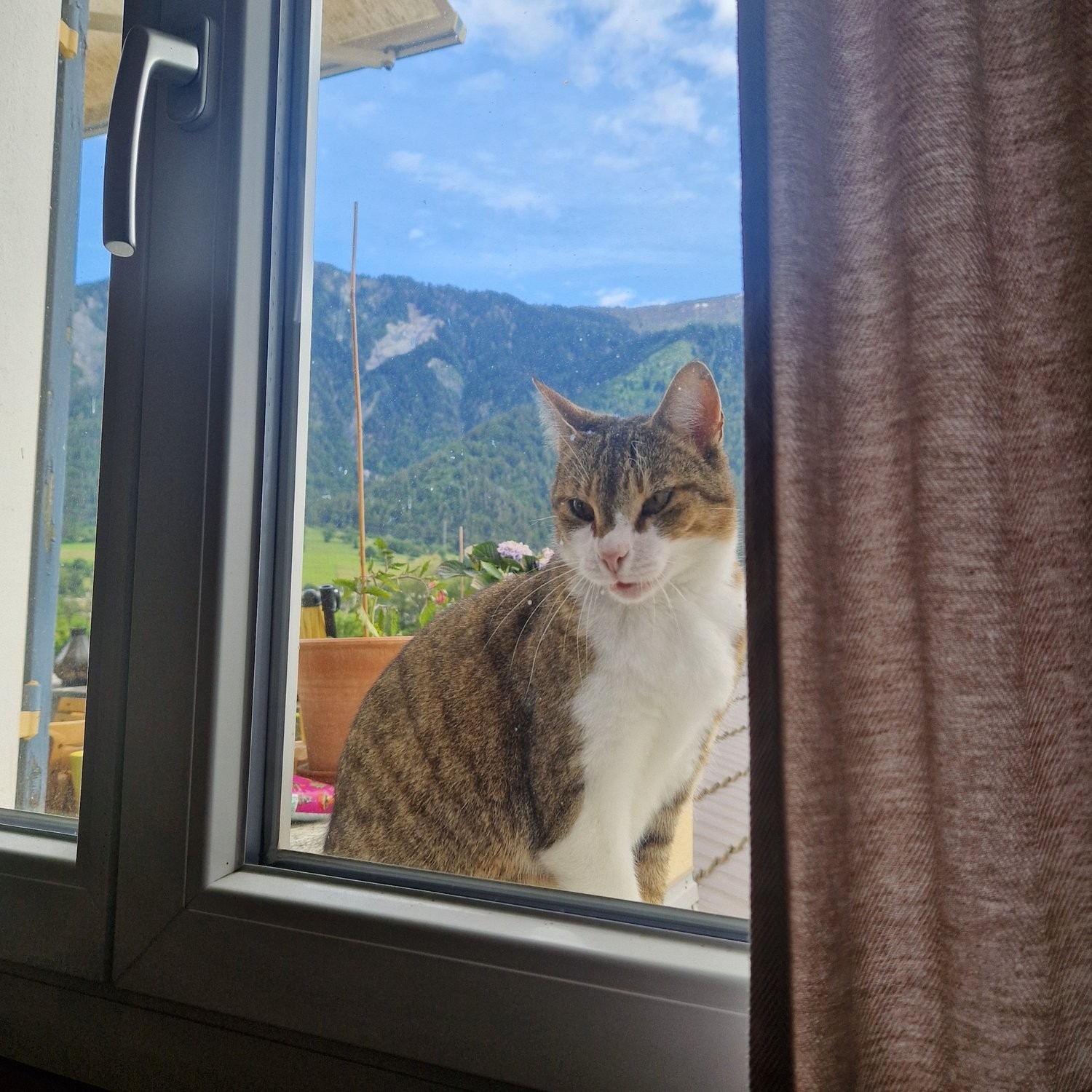 appartamento arredato di 3 ½ locali, foto 4 di 7