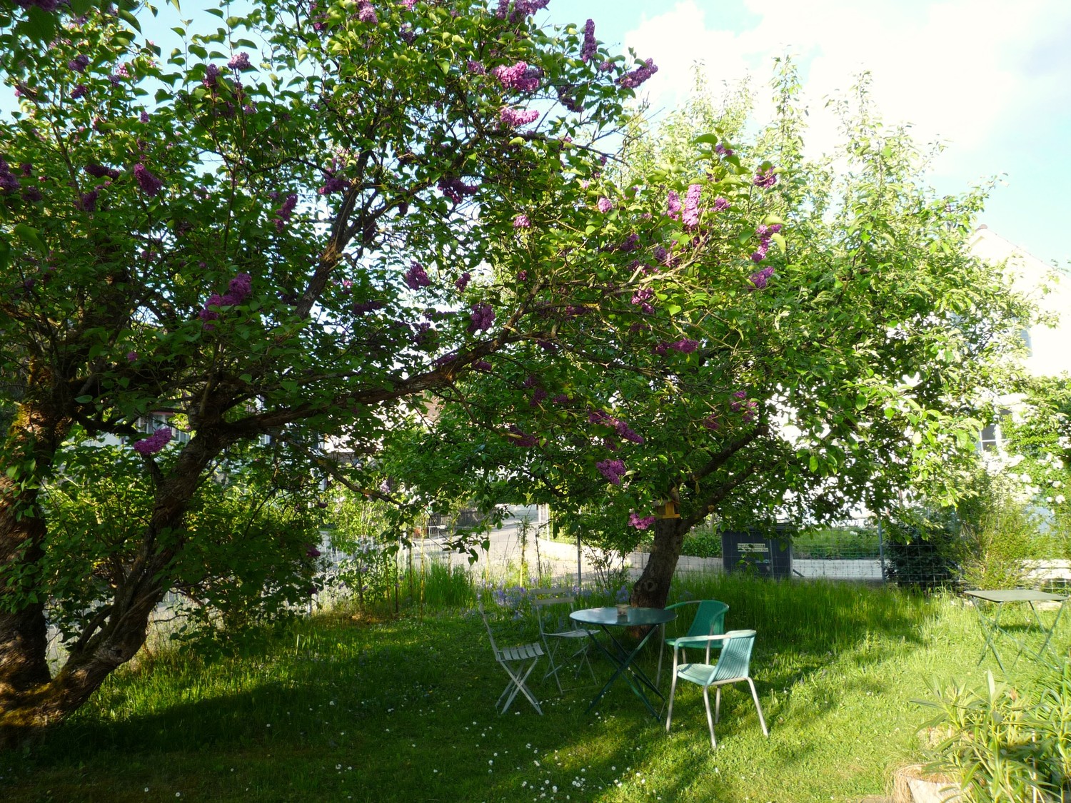 Appartamento di 2 ½ locali