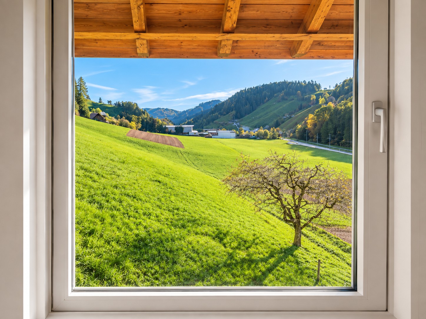 Appartement de 2 ½ pièces