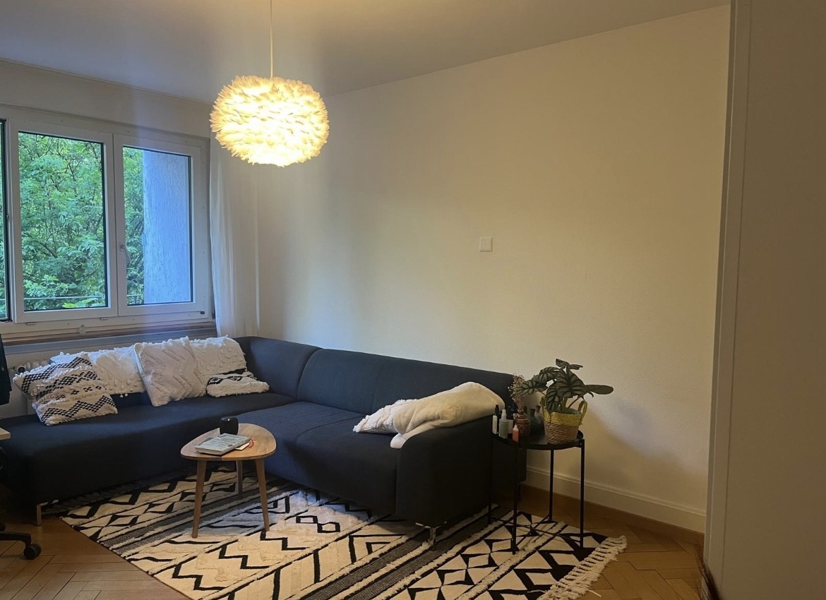 2 ½ rooms apartment