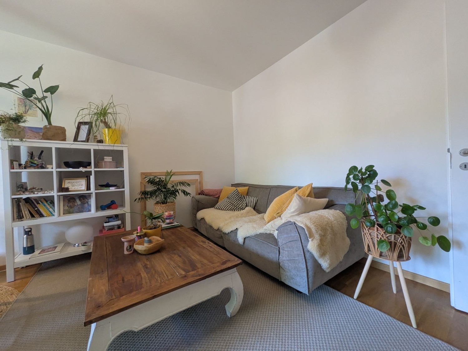 Chambre dans une colocation
