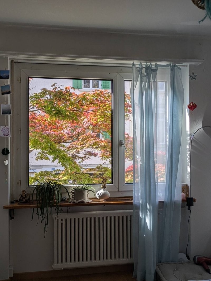 Chambre dans une colocation