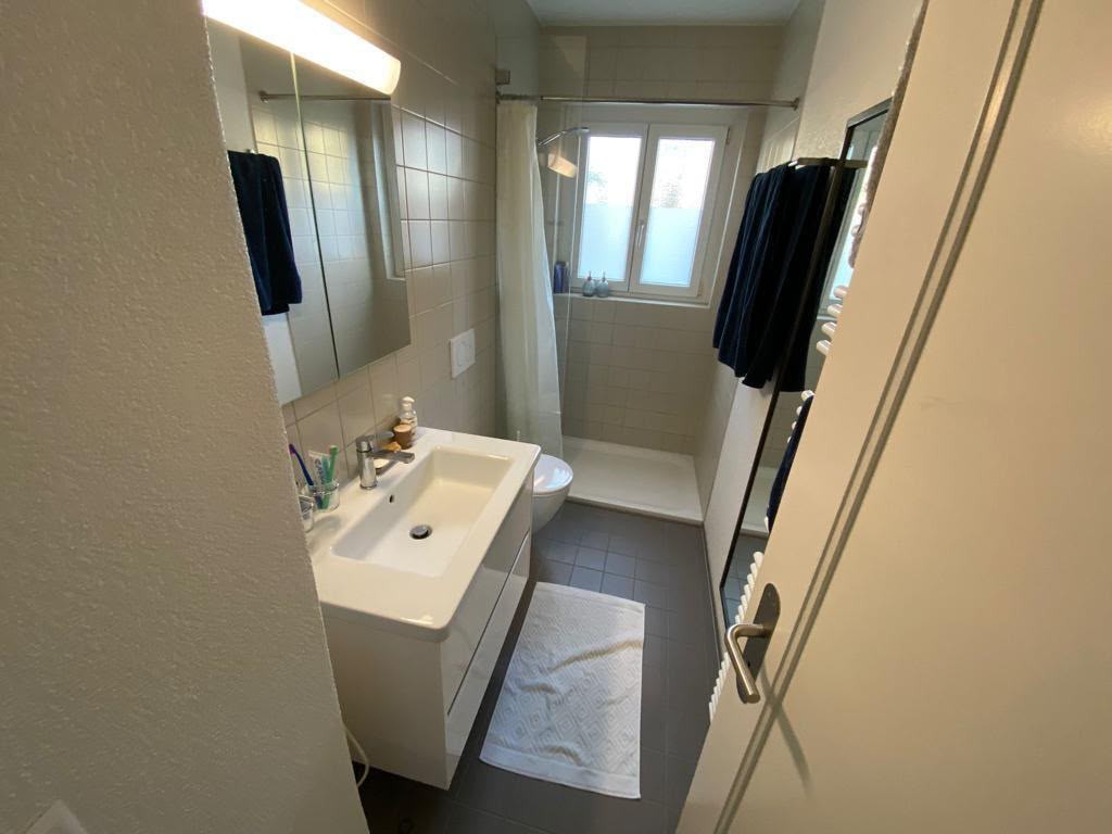 Appartamento arredato di 3 ½ locali, foto 6 di 7