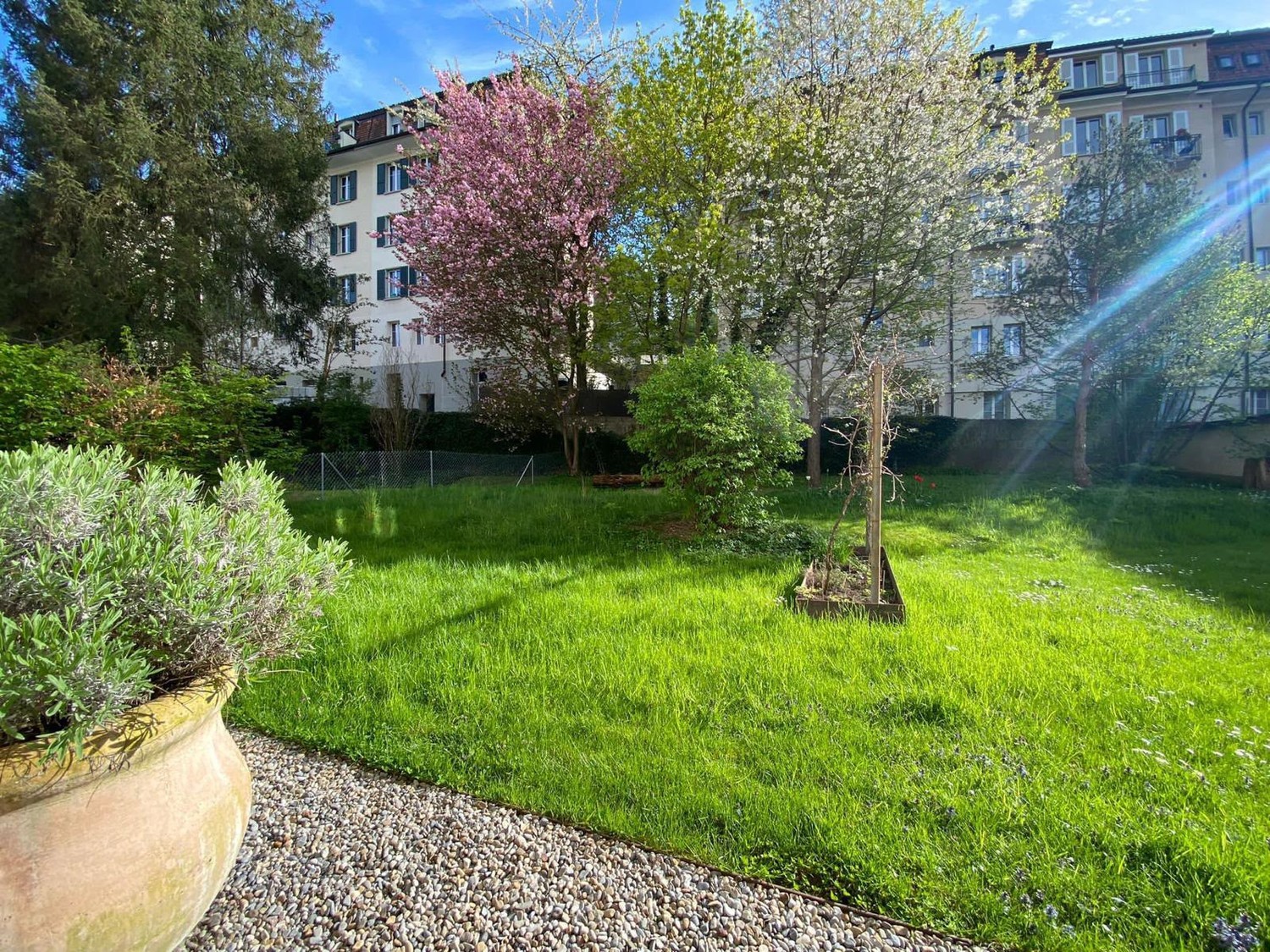 Appartamento arredato di 3 ½ locali, foto 1 di 7